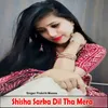 About Shisha Sarka Dil Tha Mera Song